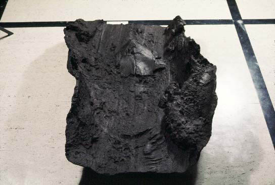 Bridgewater Fossil